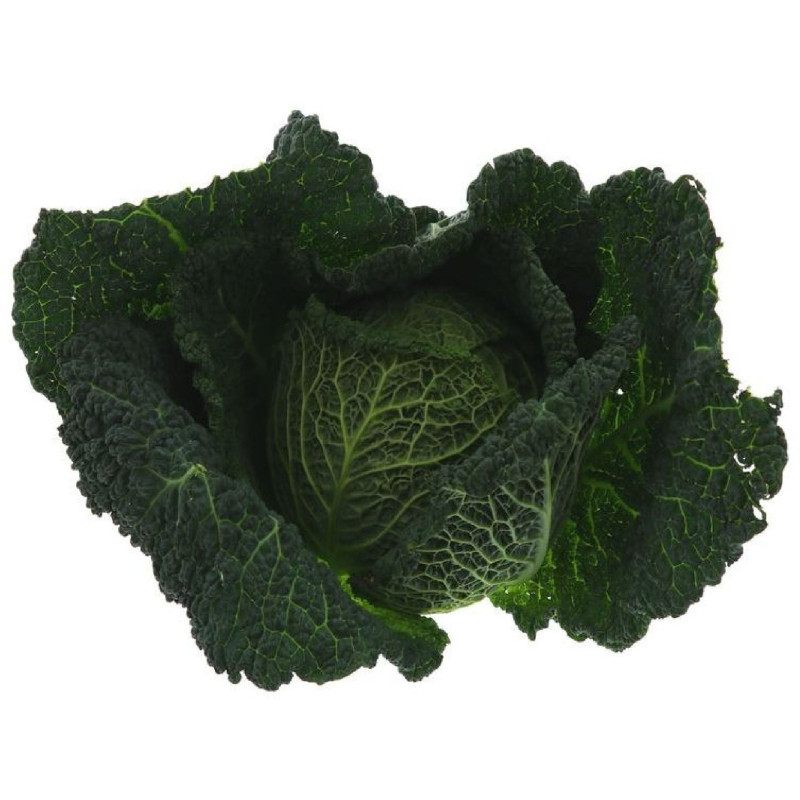 CHOU VERT 8PCS